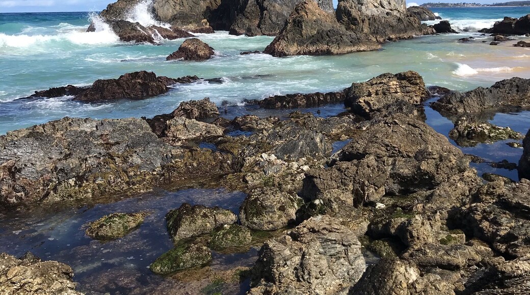 Murunna Point Beach has spectacular views & is a virtually isolated beach on the Sapphire Coast in NSW Australia. Crystal clear water to see dolphins & migrating humpback whales! Kangaroos are in the area as well!