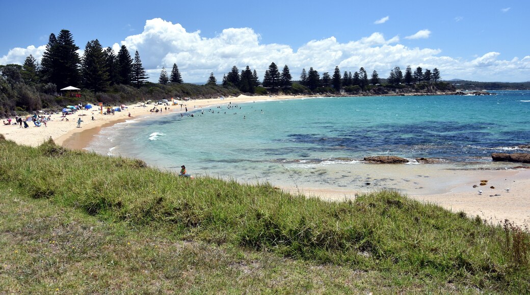 Beach at the Bermagui. Bermagui is a town on the south coast of NSW, Australia in the Bega Valley Shire. The name is derived from the Dyirringanj word, permageua, meaning canoe with paddles.