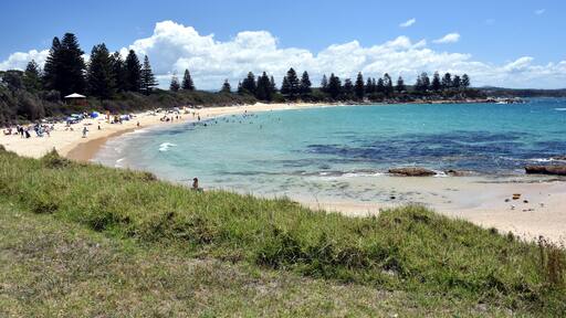 Beach at the Bermagui. Bermagui is a town on the south coast of NSW, Australia in the Bega Valley Shire. The name is derived from the Dyirringanj word, permageua, meaning canoe with paddles.