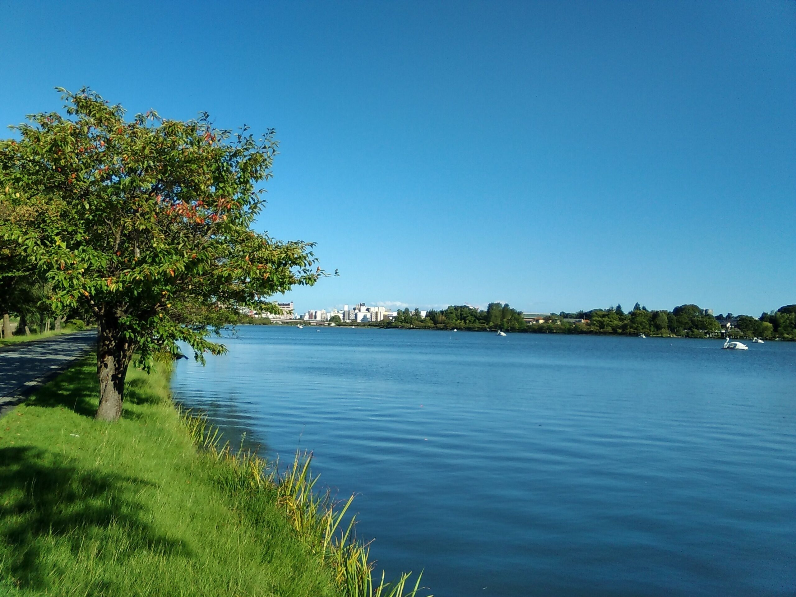 Lake Senba in Mito, Ibaraki, Japan, viewed from west to east.