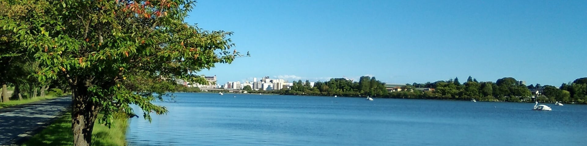 Lake Senba in Mito, Ibaraki, Japan, viewed from west to east.