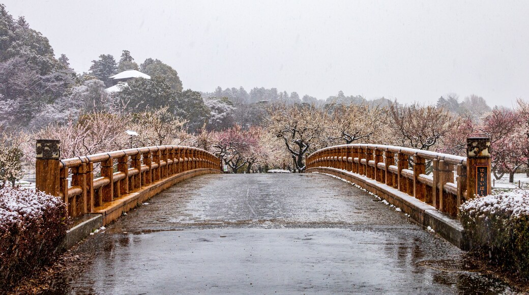 Mito