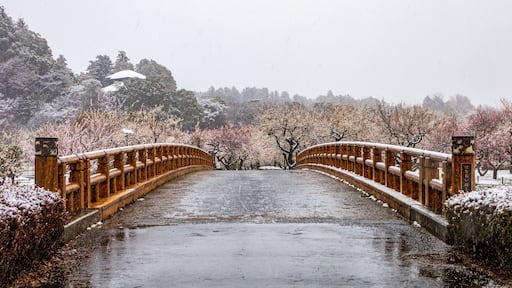雪と梅の偕楽園 絶景