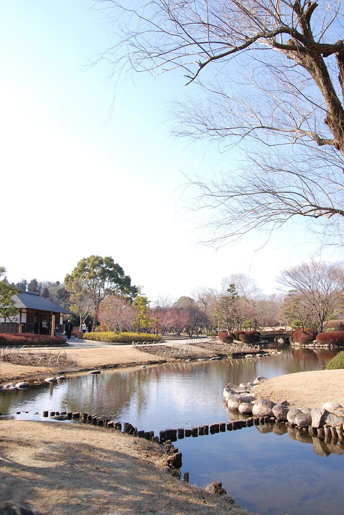 A serene park with a pond, trees, and a small building.