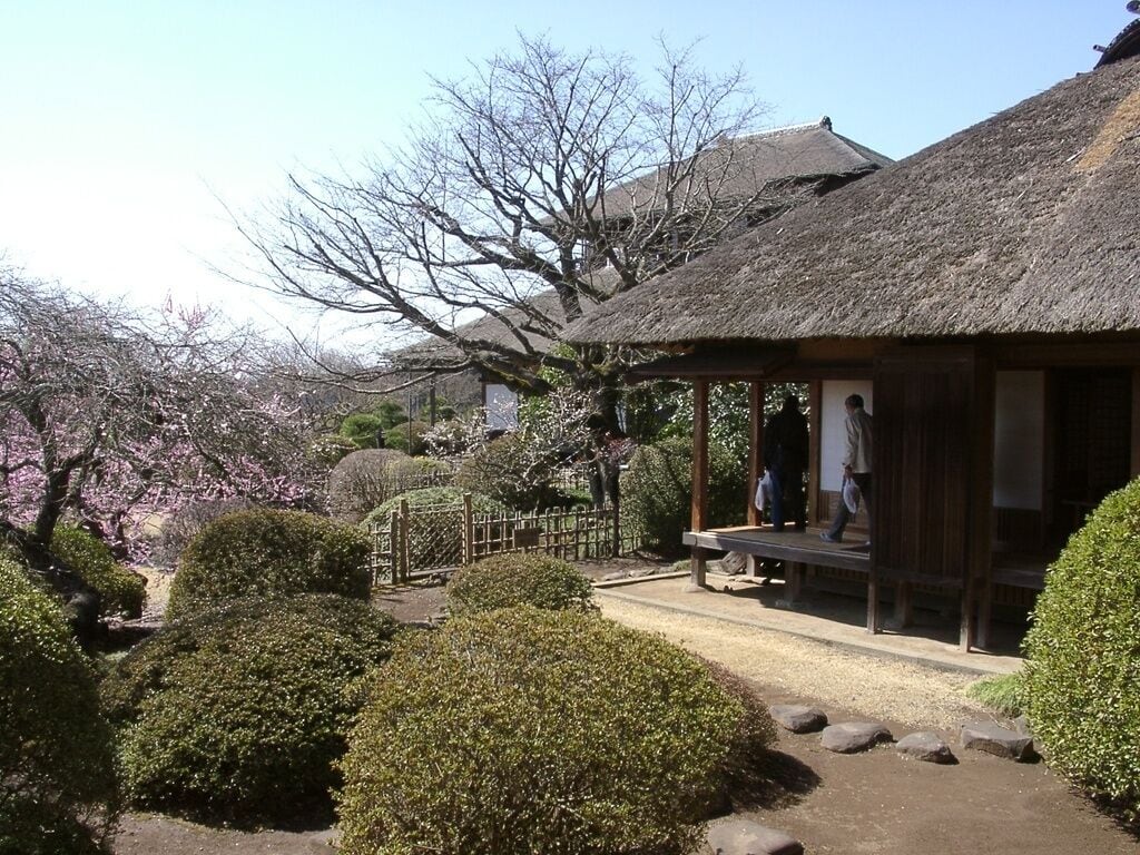A traditional Japanese garden with a thatched-roof pavilion, neatly trimmed bushes, and cherry blossom trees.
