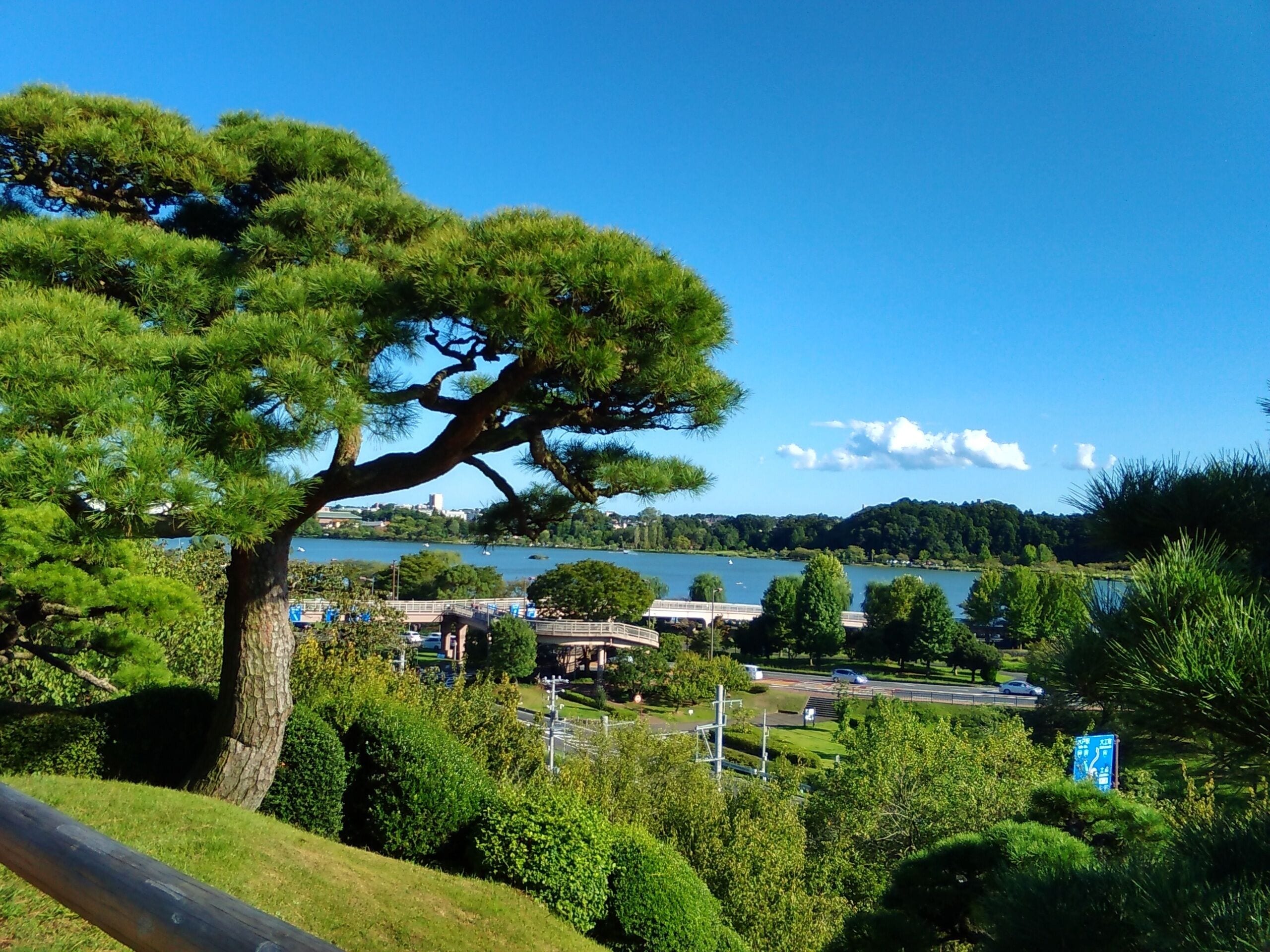 Lake Senba viewed from Kairaku-en Sen'eki-dai, located in Mito, Ibaraki, Japan.
