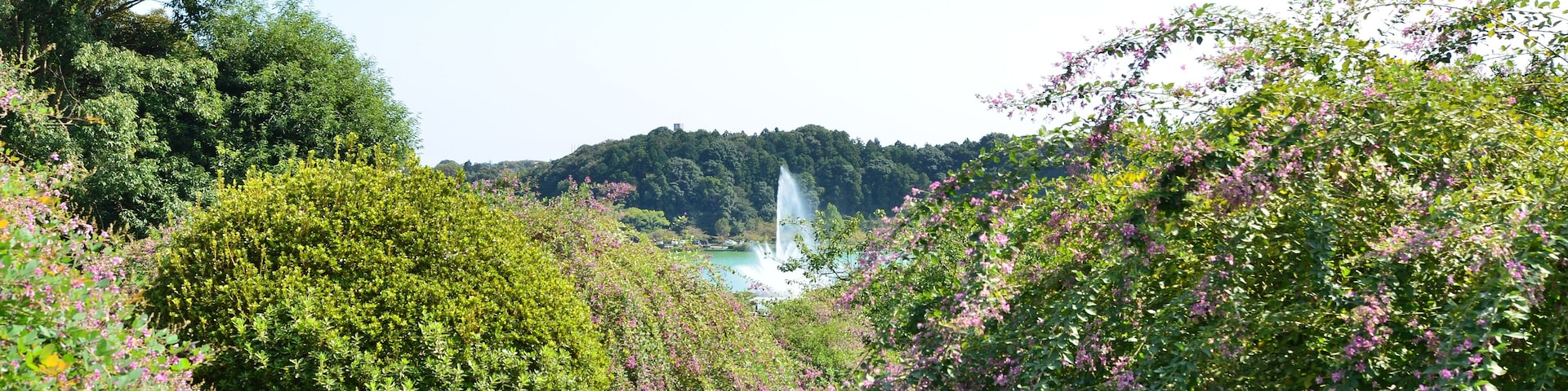 1 Chome-3 Tokiwachō, Mito-shi, Ibaraki-ken 310-0033, Japan