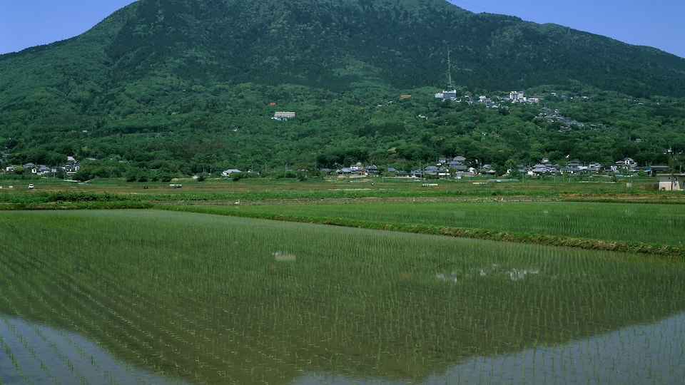 Foot Of The Tsukuba Mountain In Spring