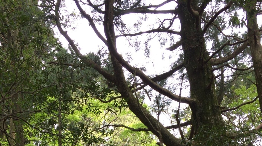 a good place for hiking