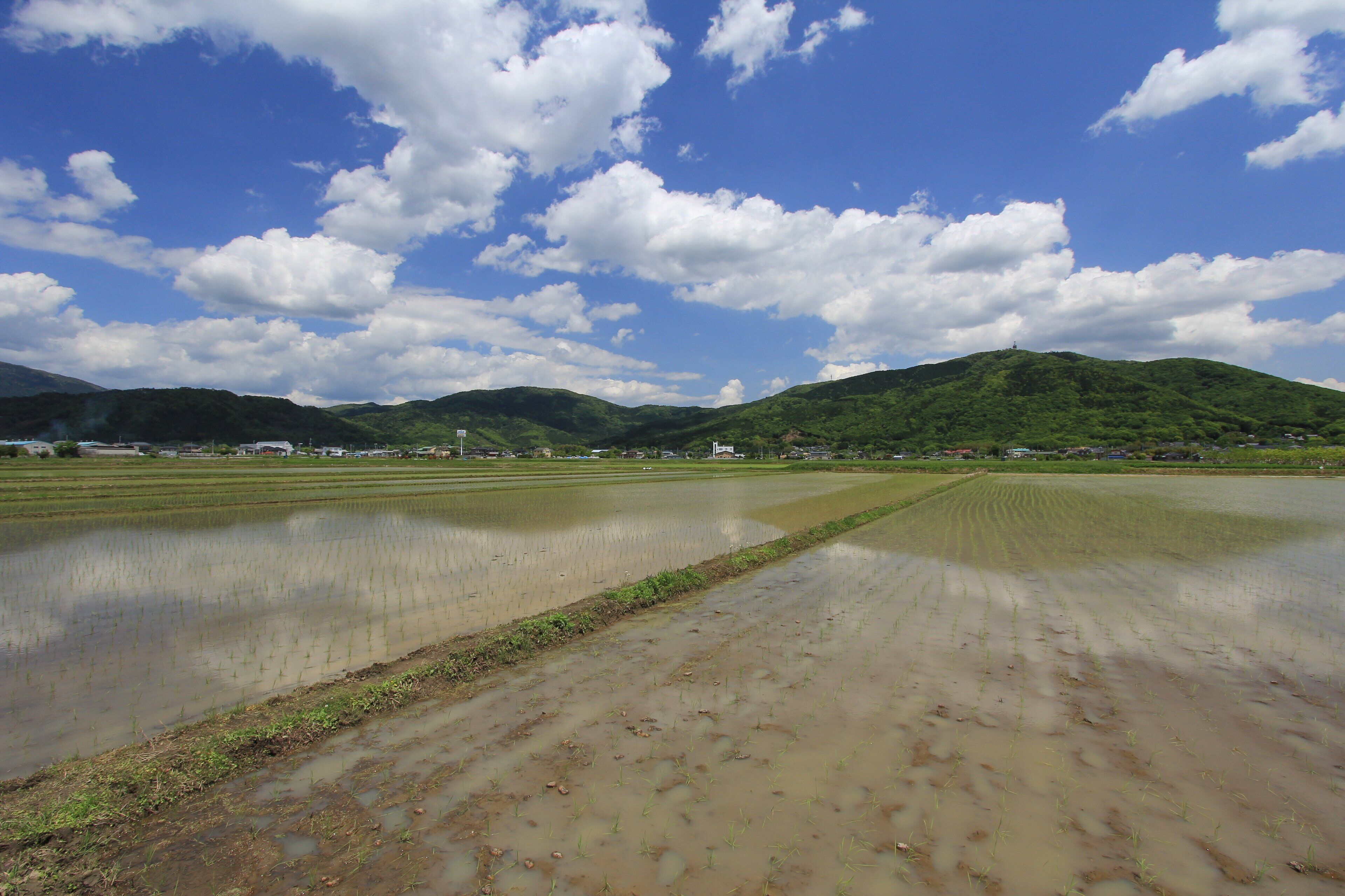 つくば市北条付近の風景