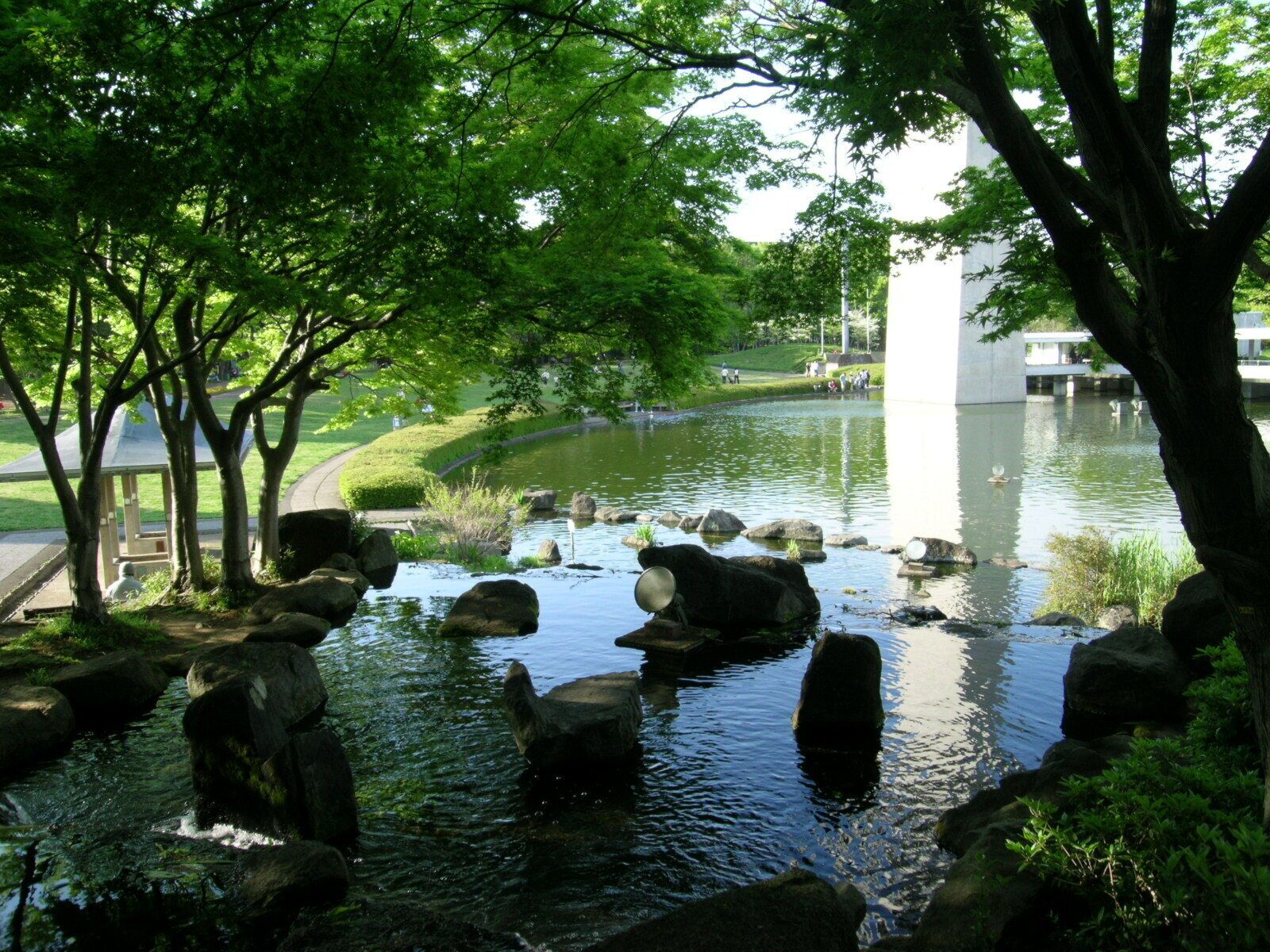 A serene pond with rocks and trees, surrounded by a park with a pathway and a building in the background.