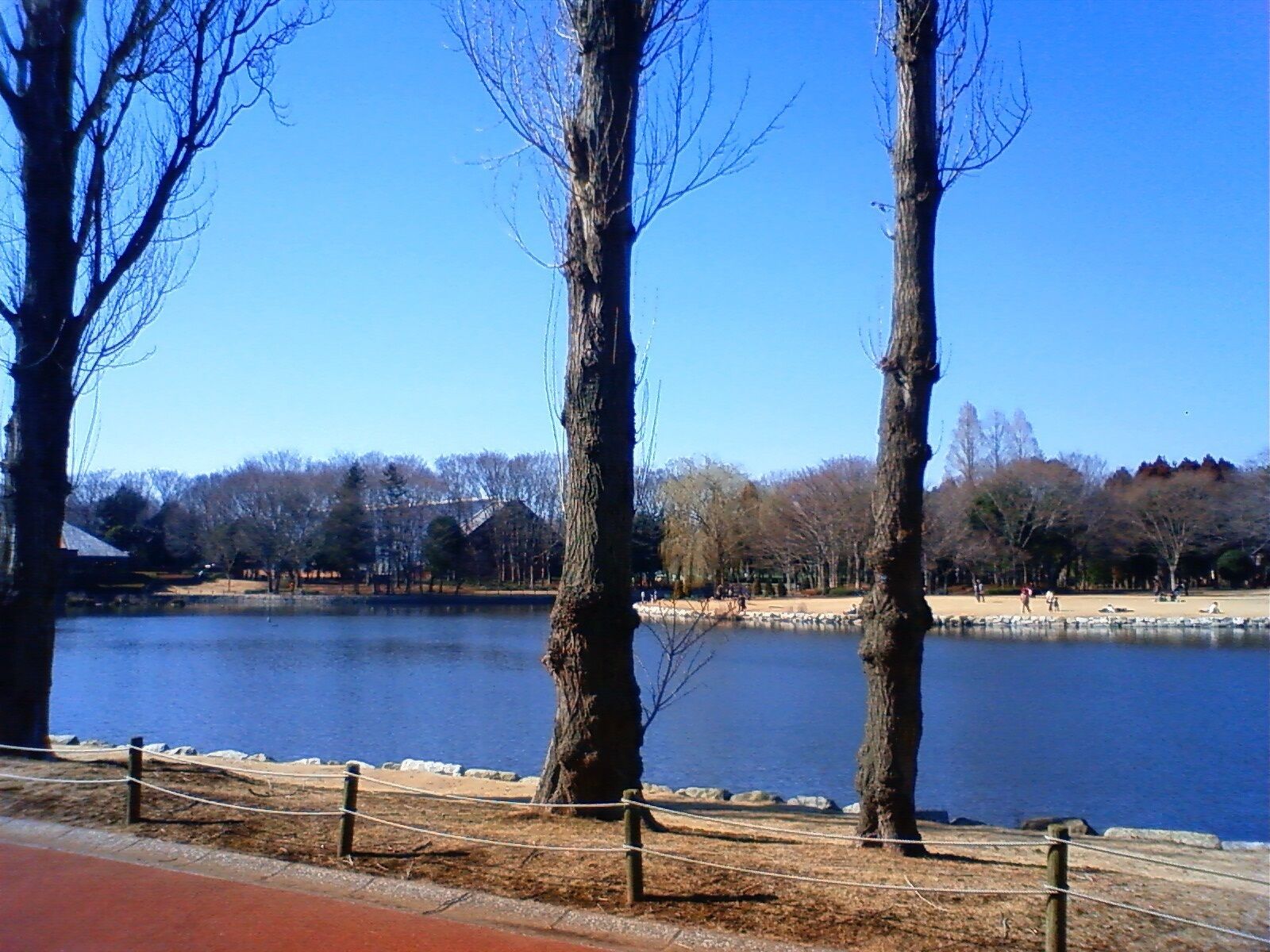 This is a photo of Doho Marsh, which is located in Tsukuba, Ibaraki, japan.