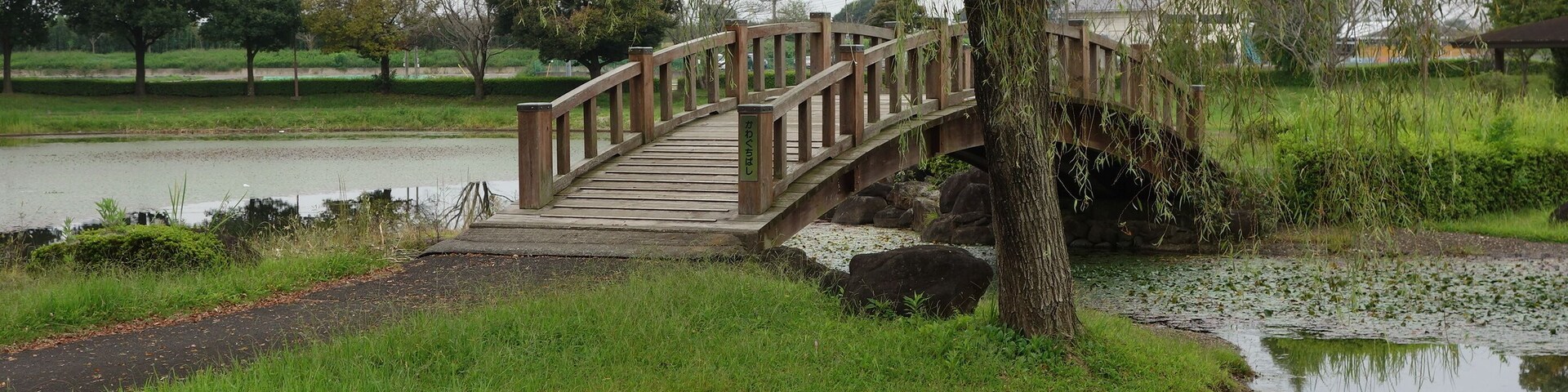 Uma ponte de madeira sobre um lago, com relva e árvores ao redor.
