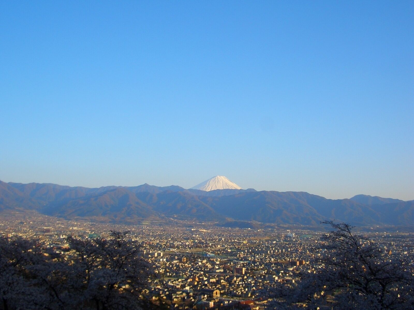 A cityscape with a prominent mountain in the background.