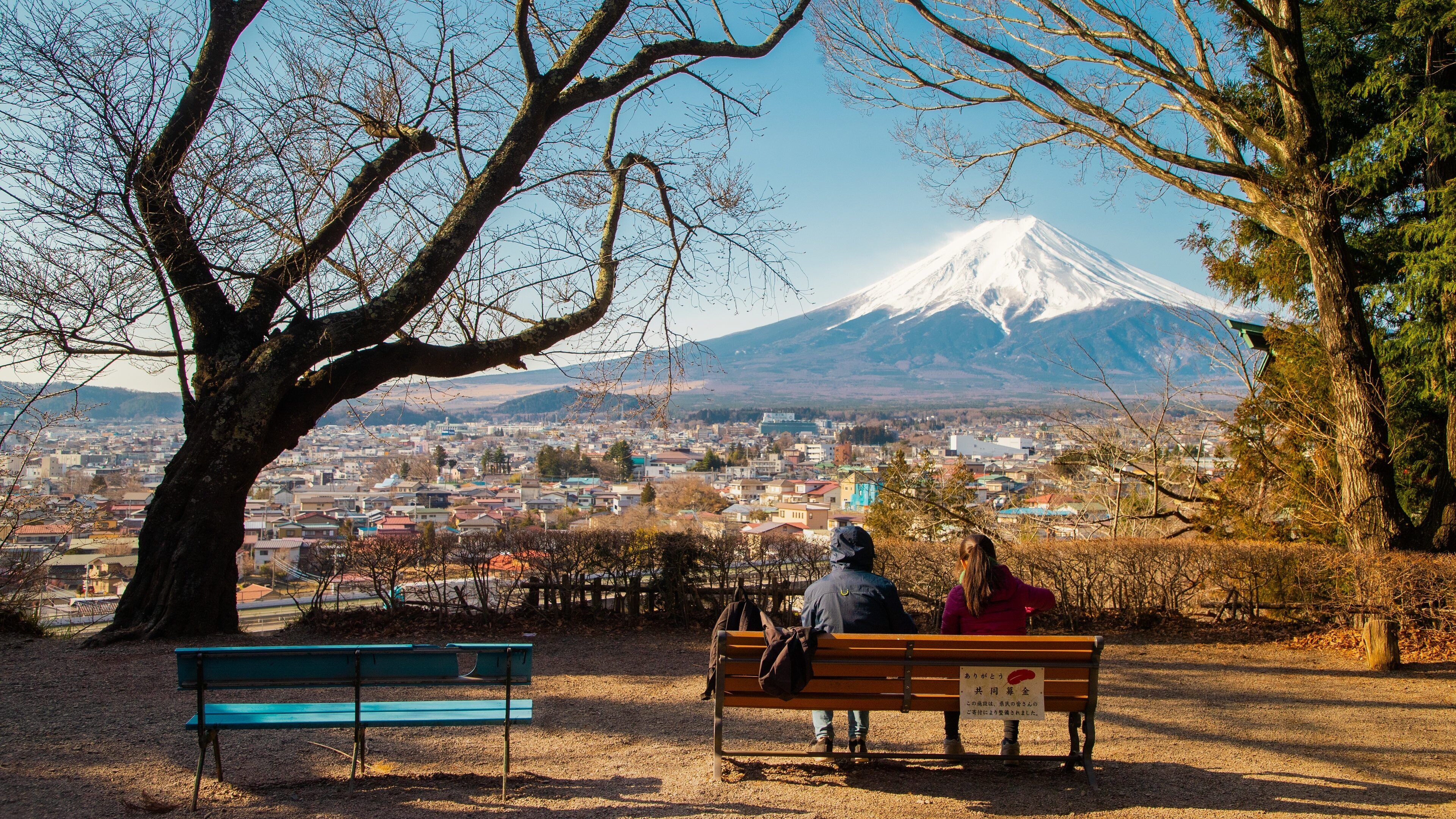 Kofu which includes a park, mountains and landscape views
