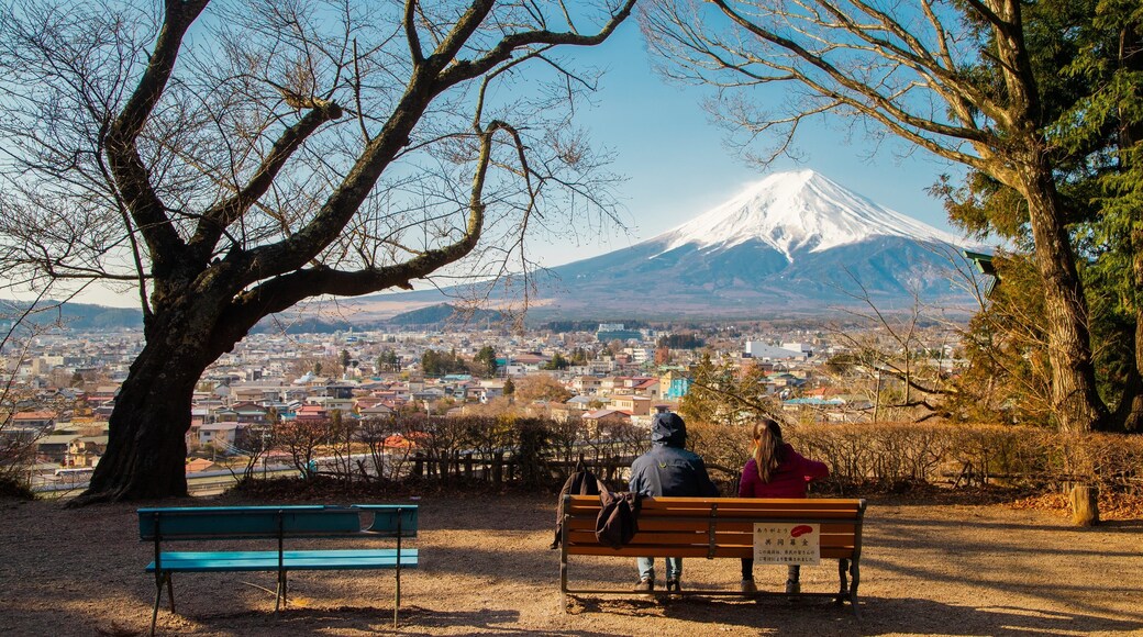 Kofu which includes a park, mountains and landscape views