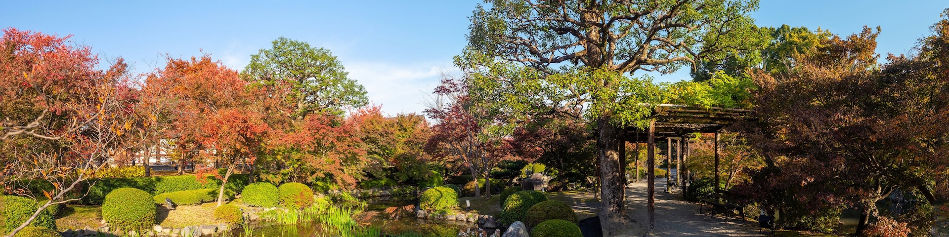 Um jardim tranquilo com um lago, arbustos bem aparados e uma grande árvore com folhagem outonal.