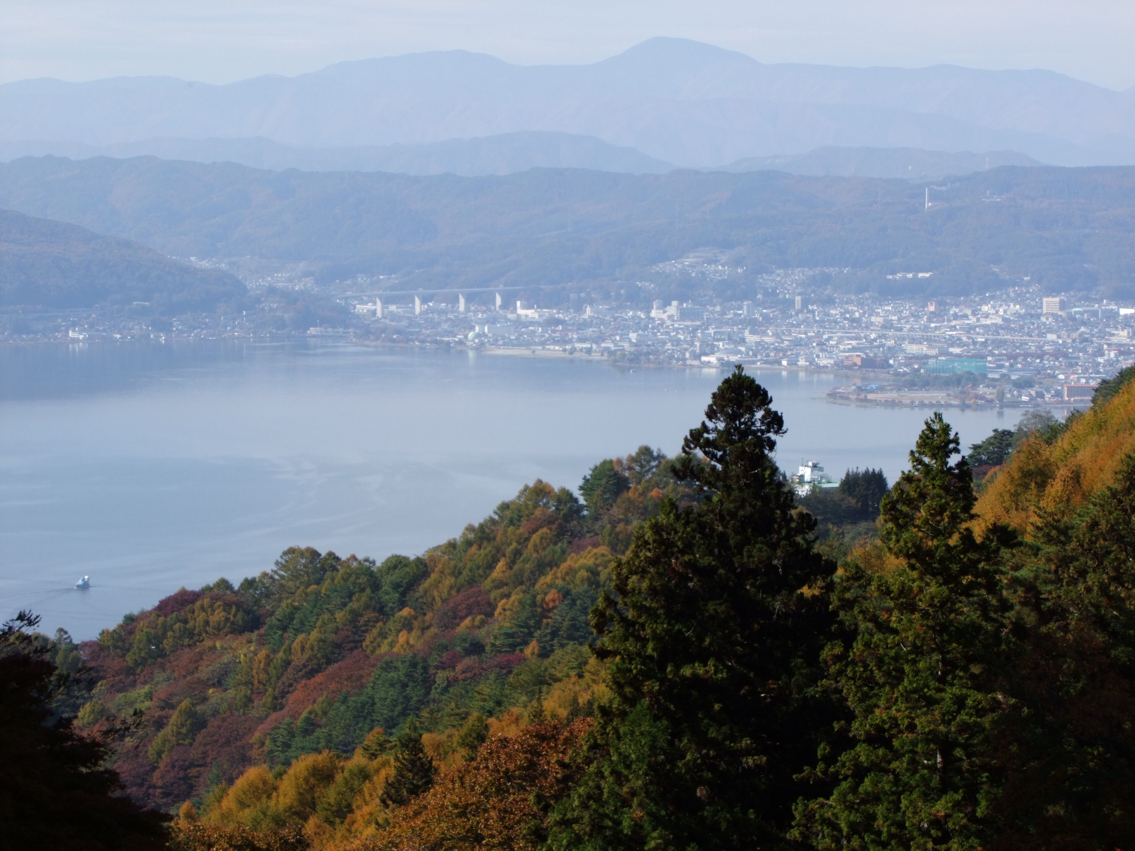 A coastal city with a dense urban area, a large body of water, and surrounding hills with autumn-colored foliage.