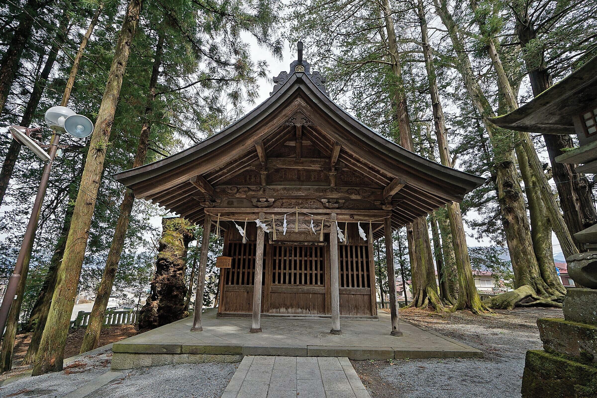 A traditional Japanese wooden structure surrounded by tall trees.