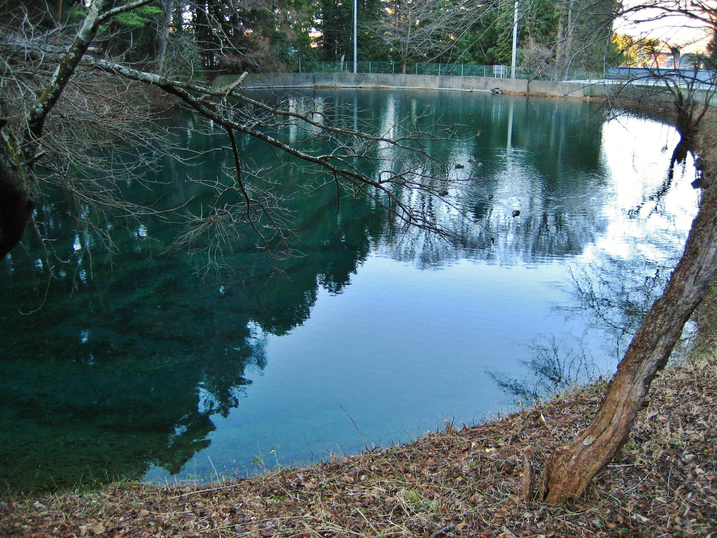 Hiraide Spring.