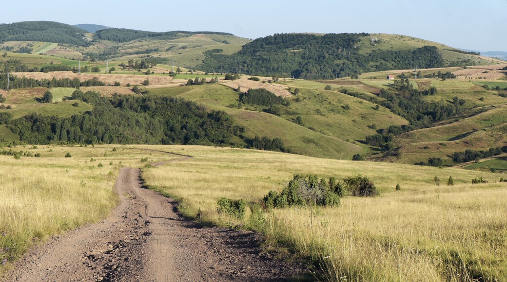 Rural Road, Serbia