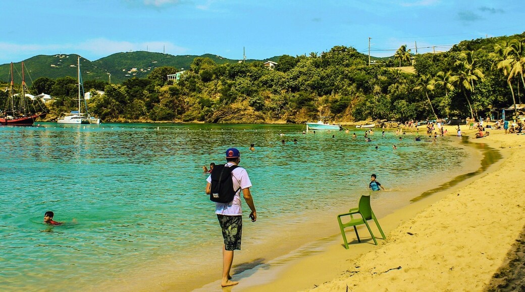 Be sure to take the ferry from the port in Charlotte Amalie to Honeymoon Beach. Great food, great drinks and less crowds...what more could you want on your tropical vacation?
