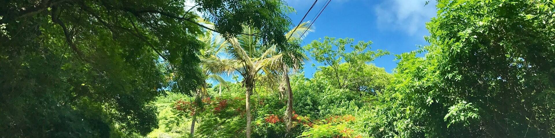 Getting ‘lost’ on St. Thomas. #lifeatexpedia