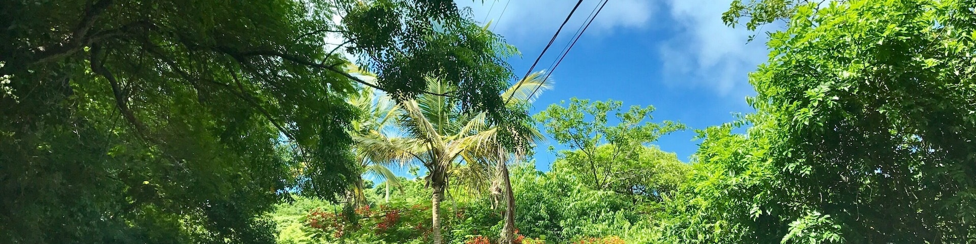 Getting โlostโ on St. Thomas. #lifeatexpedia