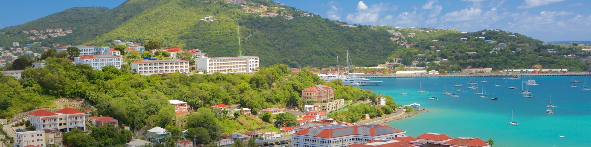St. Thomas mostrando uma cidade litorânea e paisagem