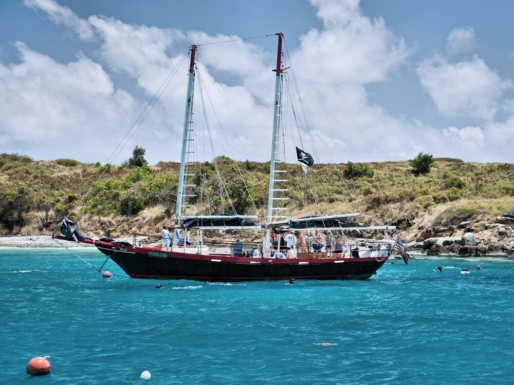 Although it's a tour and there are lots of other people there, we highly recommend the Turtle Cove sail & snorkel with Doubloon Pirate ships. We had such a great time.

Check out our blog post about our afternoon at Turtle Cove http://bit.ly/QGnbyF

#Caribbean, #turtle, #travel