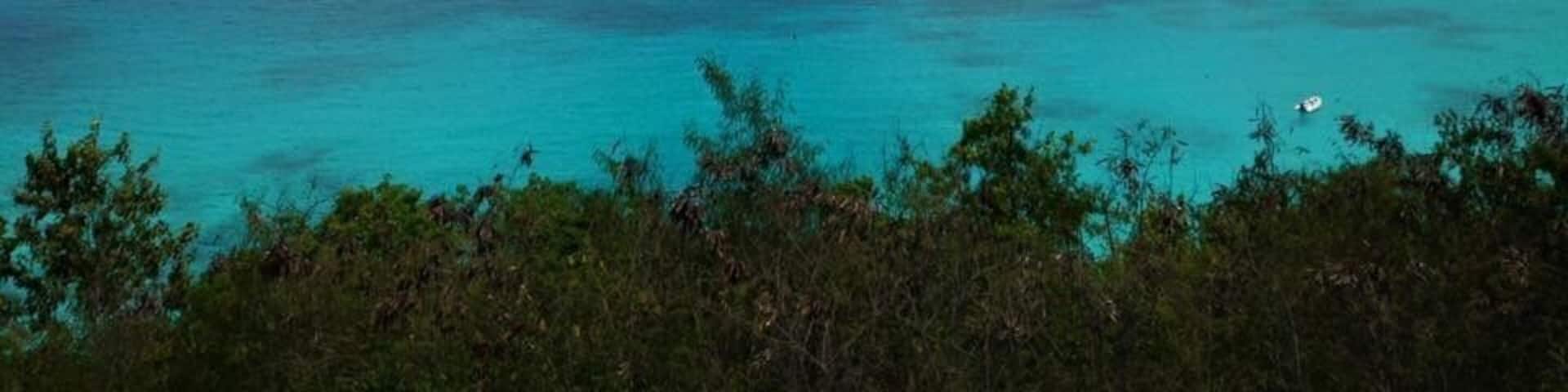 A turquoise sea with a small island in the distance and a clear sky.