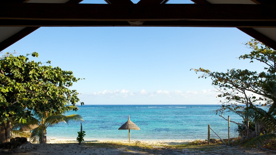 Stunning view of Viwa Island's beach and clear ocean waters in Fiji, showcasing tropical beauty and tranquility
