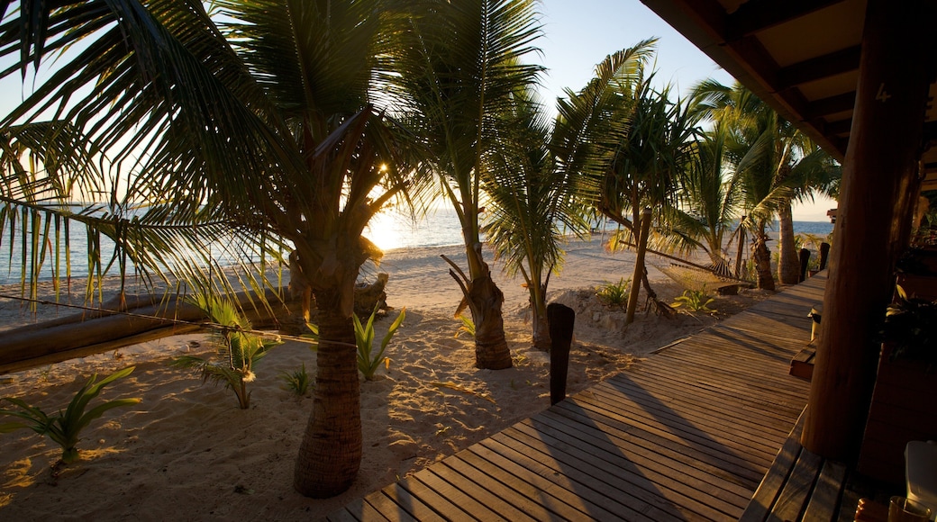 Fiji mostrando vistas panorámicas, un atardecer y una playa