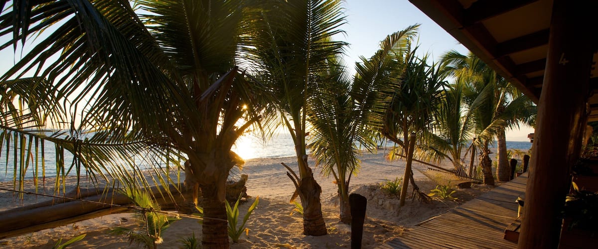 Ein hölzerner Steg führt zu einem Strand mit Palmen und dem Meer im Hintergrund.