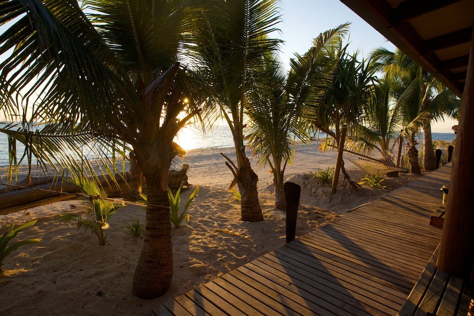 Una passerella di legno che conduce a una spiaggia con palme e l'oceano sullo sfondo.