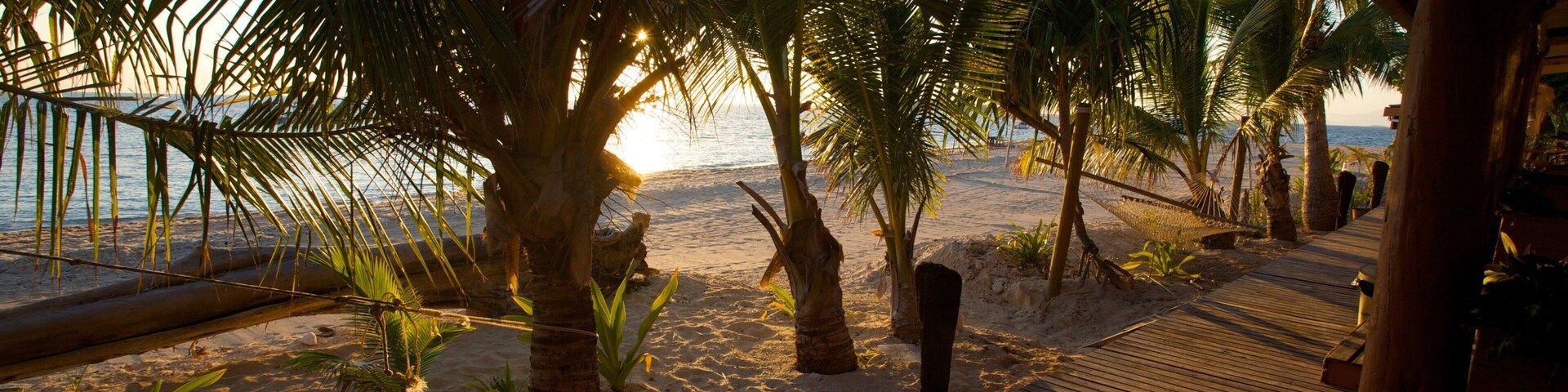 Una pasarela de madera que lleva a una playa con palmeras y el océano al fondo.