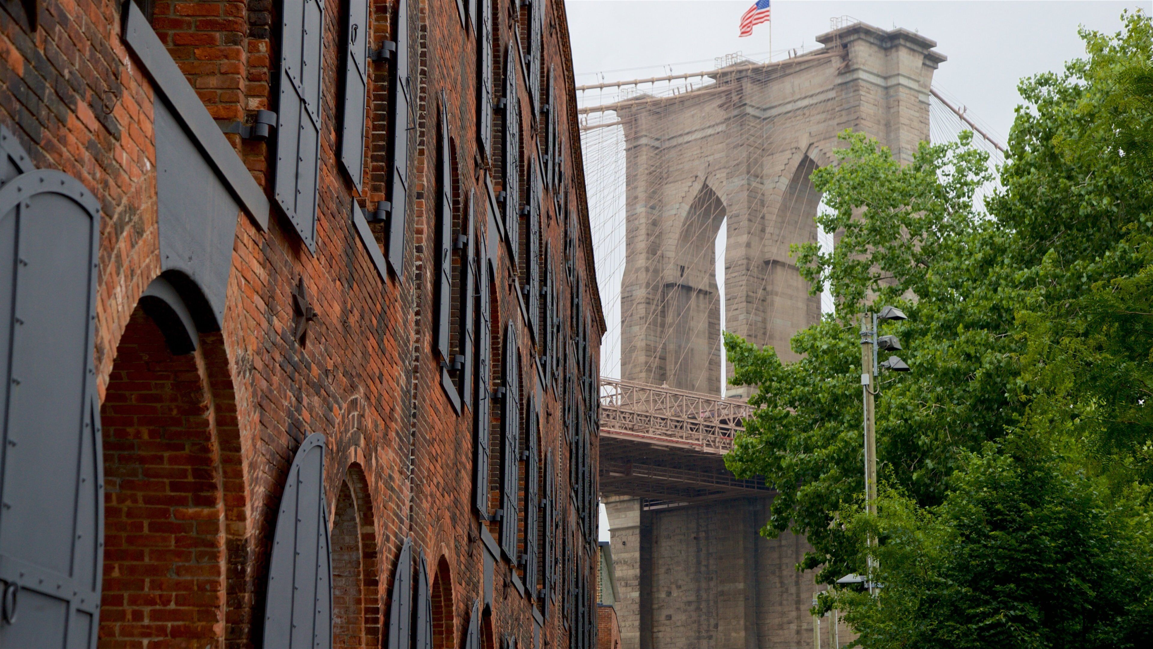 Downtown Brooklyn showing heritage elements and a bridge
