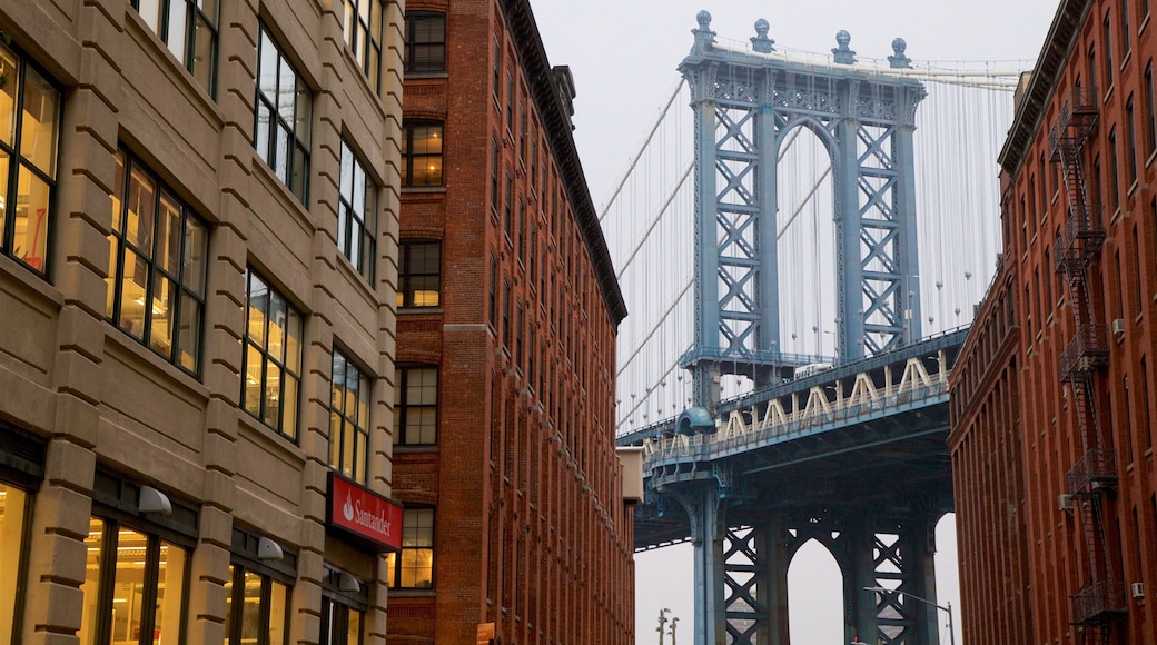 Downtown Brooklyn which includes heritage elements and a bridge
