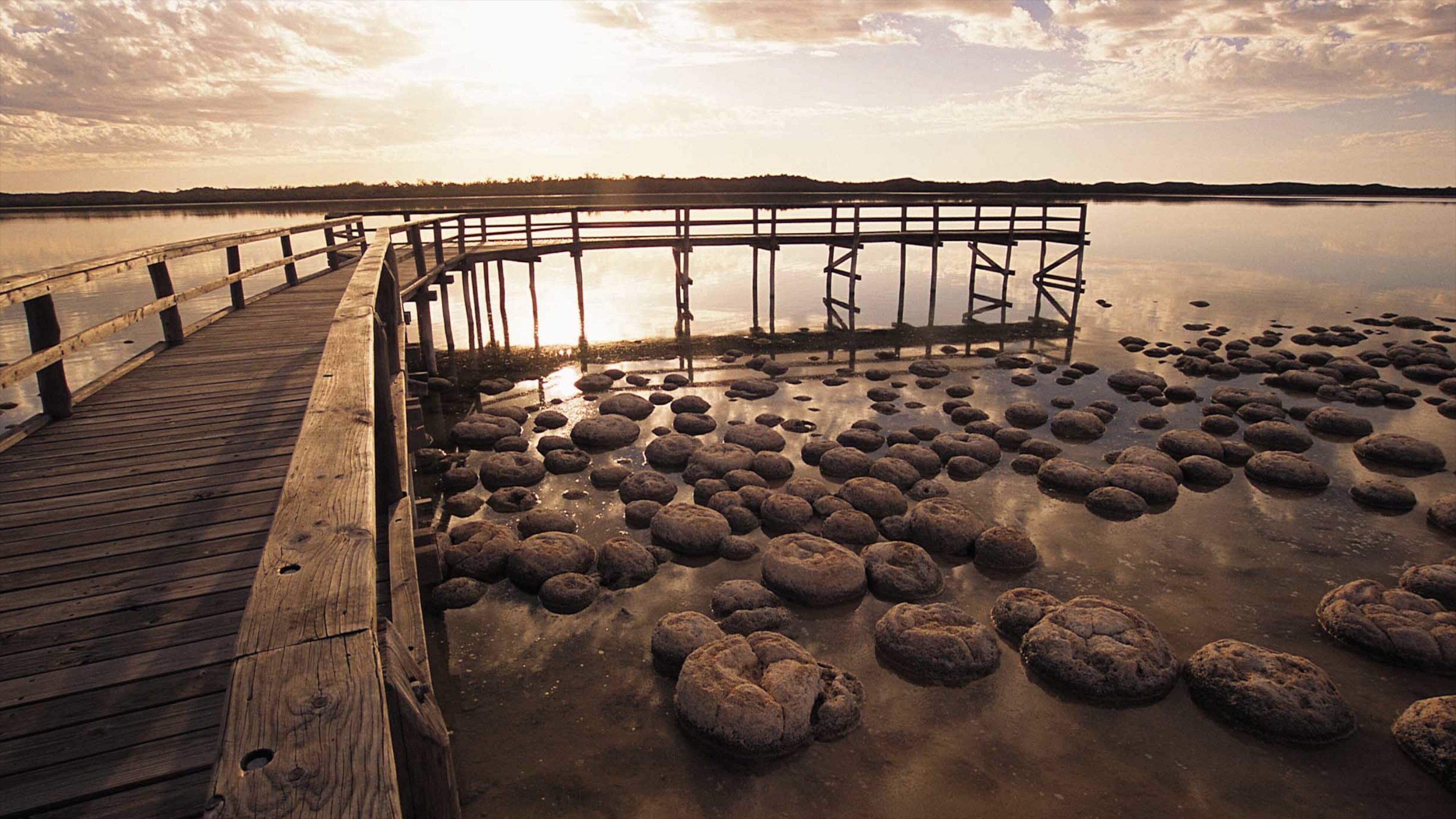 Mandurah showing general coastal views, landscape views and rugged coastline
