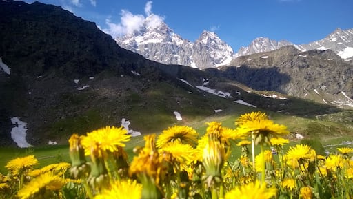 Parco del Monviso (Q47192508)