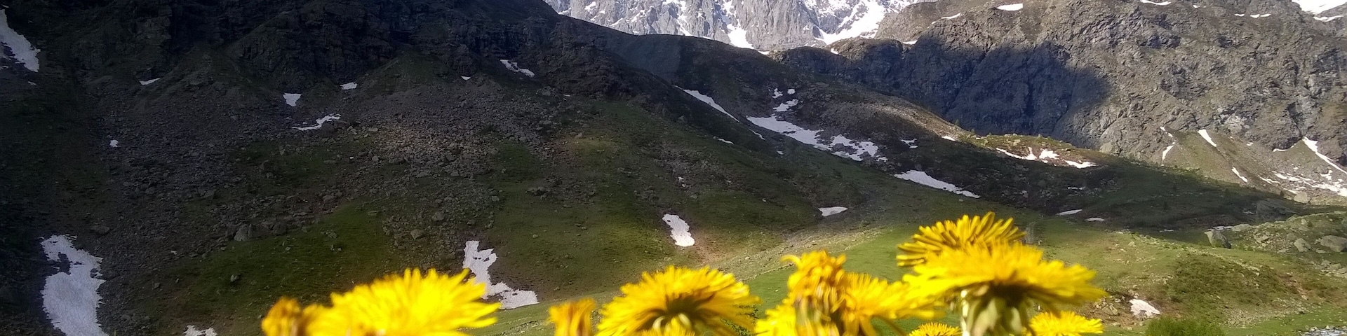 Parco del Monviso (Q47192508)