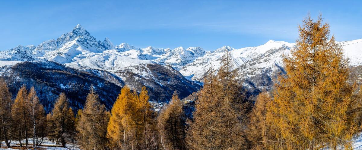 A snow-covered mountain range with autumn-colored trees in the foreground.