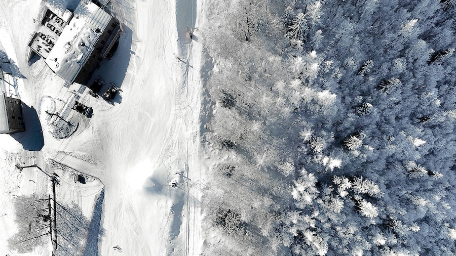 Domobianca skidomrÄde