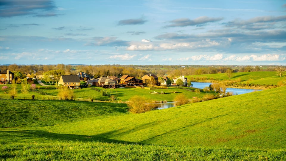 A rural landscape with rolling green fields, a small pond, and houses with red roofs.