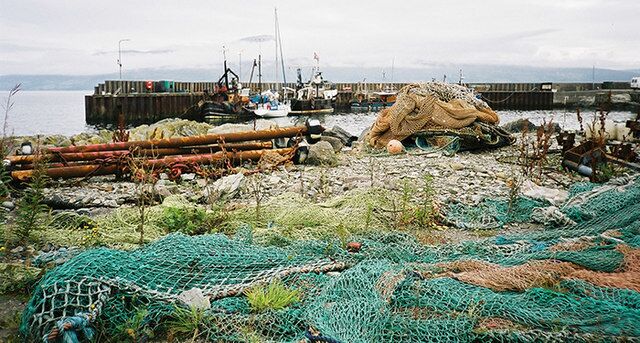 Port Crannaich, Carradale