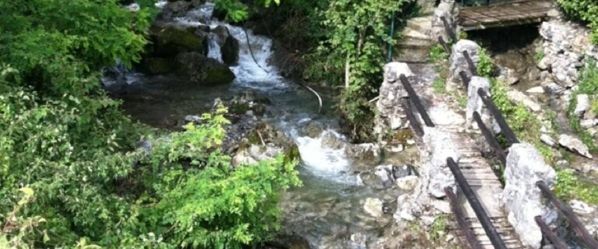 A rocky stream with a wooden bridge and lush greenery.