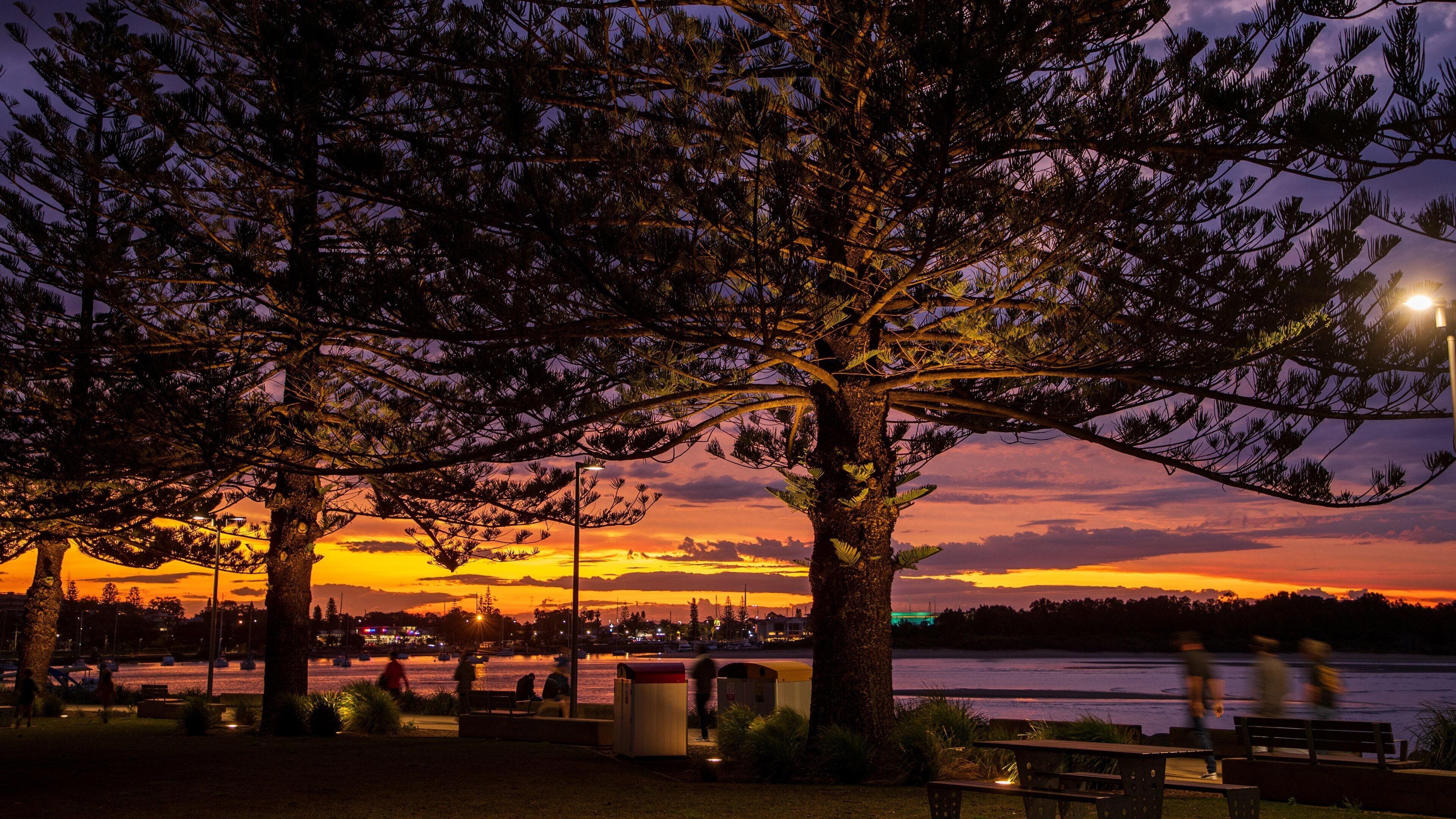 Port Macquarie showing night scenes and a sunset