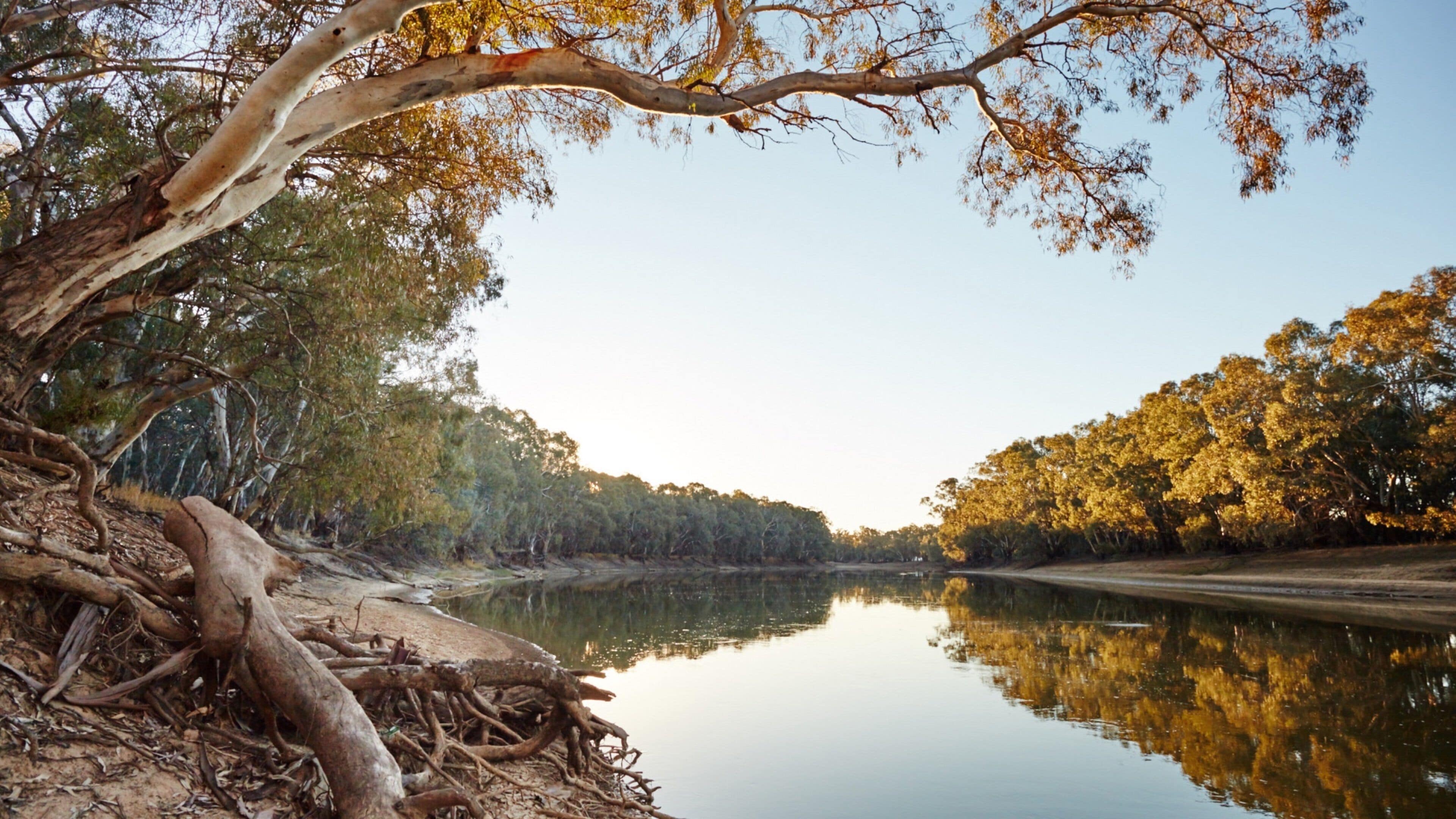 A calm river with trees reflecting in the water, surrounded by dense foliage.