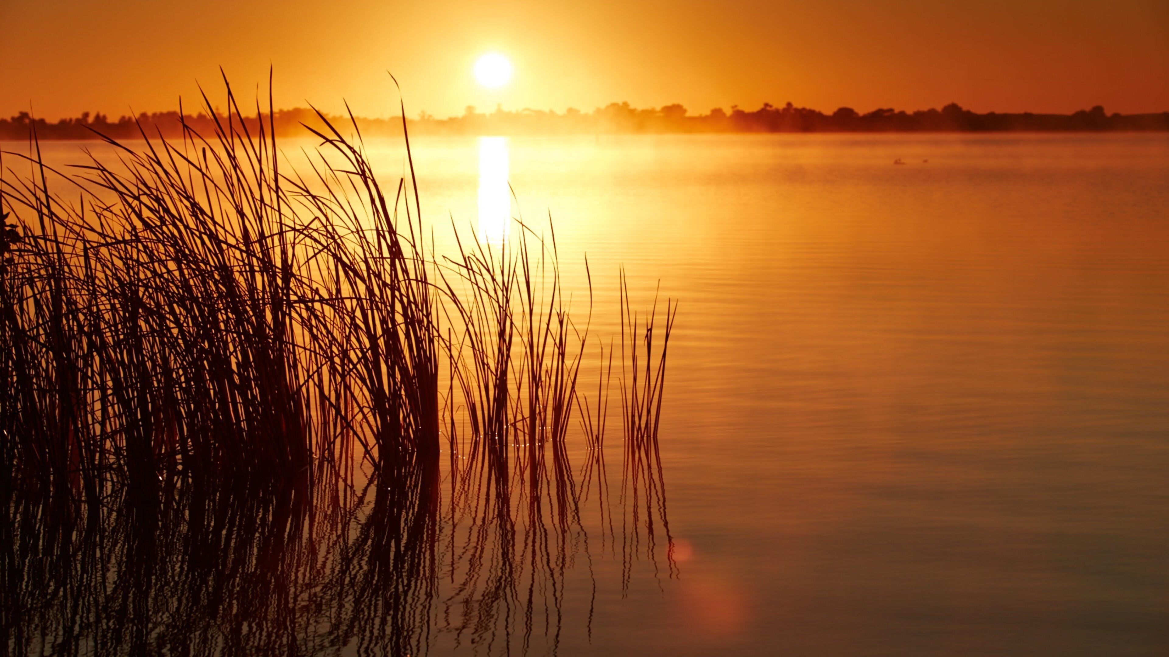 Swan Hill ofreciendo una puesta de sol y humedales