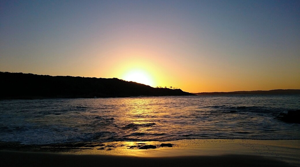 This picture perfect sunset view was from our own private beach at the front of Workmans Beach Camping Ground in Agnes Water. If you're planning an East Coast Australian trip, this campsite is a MUST! Not only do you have access to this beach directly from the campsite, you will be surrounded by surfers seeking sunshine and the perfect wave. Agnes Water is the most northerly surf beach in Australia and a town you should not miss. For more info on the Camping Ground (only $7 per person per night) see http://www.colourofsunshine.com/workmans-beach-camping-ground/
#colorful #campsite #roadtrip